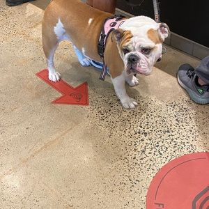 Meet your Posher, Victoria